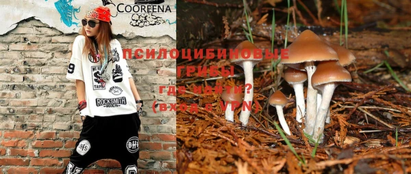 a pvp Семилуки