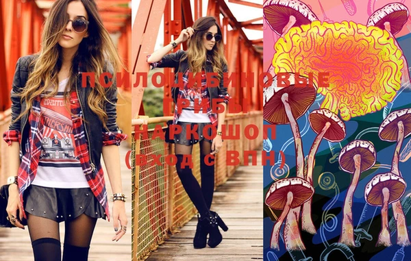 a pvp Семилуки