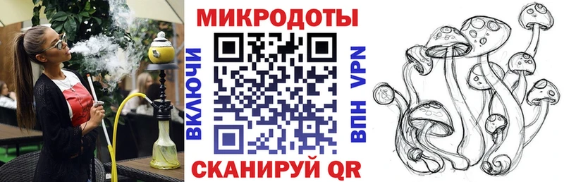 Купить где  Каневская  Псилоцибиновые грибы Cubensis 