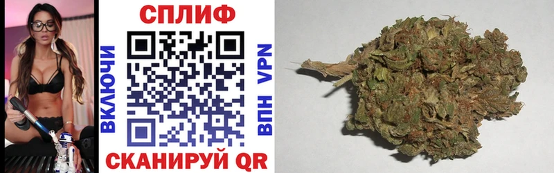 Каннабис AK-47  Купить где  Каневская